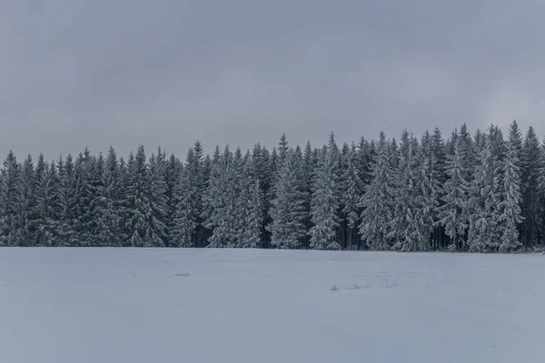 Winterwandern Verschiedenen Orten Durch Den Thüringer Wald Deutschland — Stockfoto