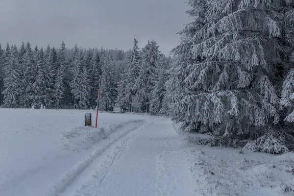 Winterwandern Verschiedenen Orten Durch Den Thüringer Wald Deutschland — Stockfoto