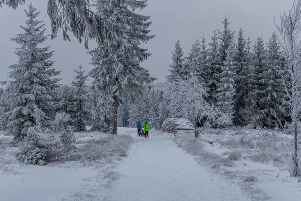 Caminhadas Inverno Diferentes Lugares Através Floresta Turíngia Alemanha — Fotografia de Stock