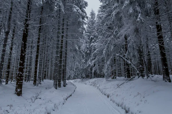 Winterwandelen Verschillende Plaatsen Door Het Thüringer Woud Duitsland — Stockfoto