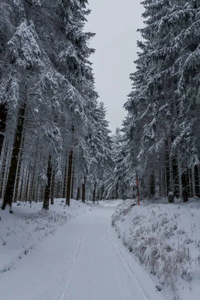 Randonnée Hivernale Dans Différents Endroits Travers Forêt Thuringe Allemagne — Photo