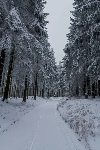 Caminhadas Inverno Diferentes Lugares Através Floresta Turíngia Alemanha — Fotografia de Stock