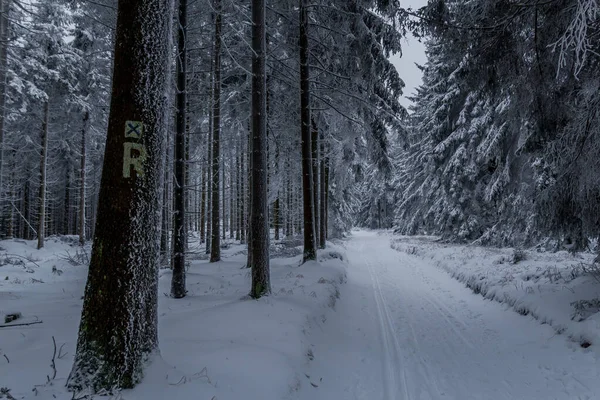 Winterwandern Verschiedenen Orten Durch Den Thüringer Wald Deutschland — Stockfoto