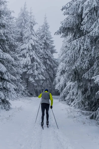 Winterwandelen Verschillende Plaatsen Door Het Thüringer Woud Duitsland — Stockfoto