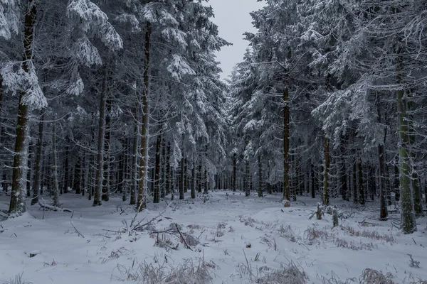 在德国图林根森林的不同地方进行冬季远足 — 图库照片