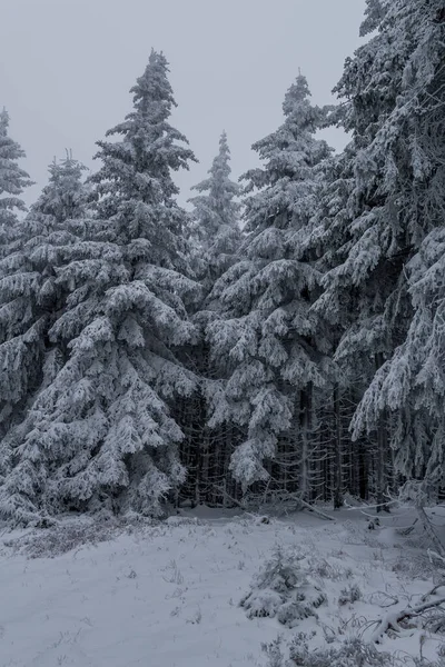 在德国图林根森林的不同地方进行冬季远足 — 图库照片