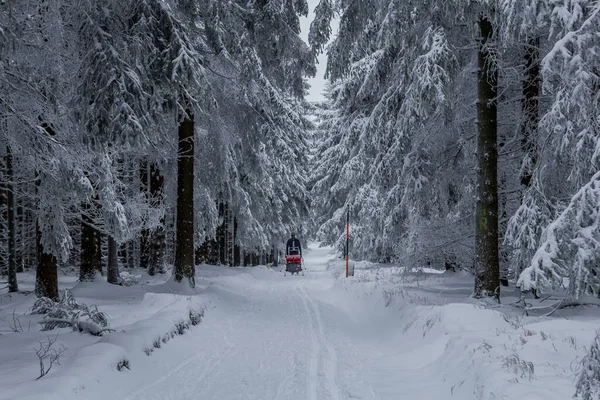 Winterwandern Verschiedenen Orten Durch Den Thüringer Wald Deutschland — Stockfoto