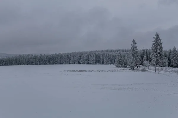 Зимние Походы Разных Местах Через Тюрингский Лес Германия — стоковое фото