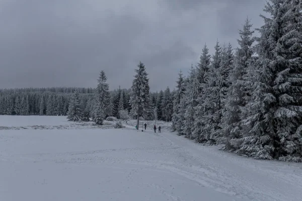 Winter Hiking Different Places Thuringian Forest Germany — Stock Photo, Image