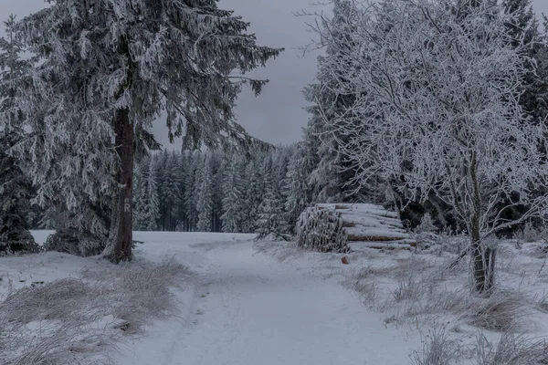 Winterwandelen Verschillende Plaatsen Door Het Thüringer Woud Duitsland — Stockfoto