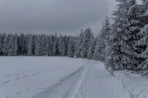 Χειμερινή Πεζοπορία Διάφορα Μέρη Μέσα Από Δάσος Της Θουριγγίας Γερμανία — Φωτογραφία Αρχείου
