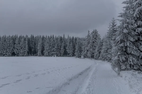 チューリンゲンの森で冬のハイキング ドイツ — ストック写真