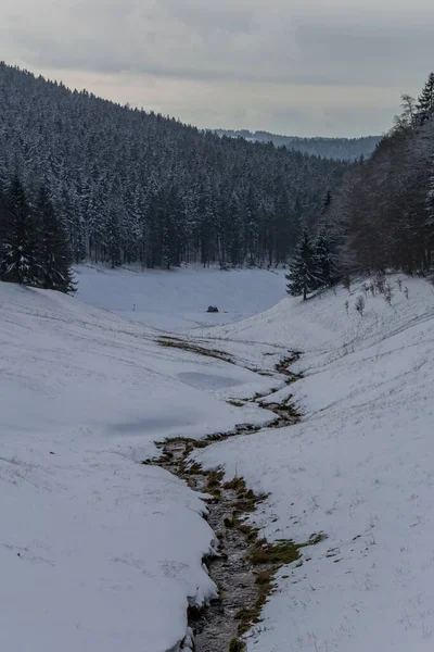 Randonnée Hivernale Dans Différents Endroits Travers Forêt Thuringe Allemagne — Photo