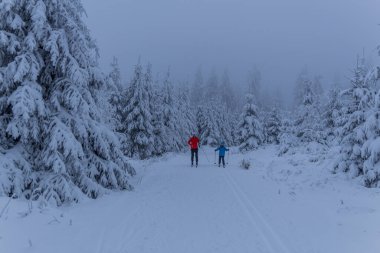 Thüringen Ormanı boyunca farklı yerlerde kış yürüyüşü - Almanya