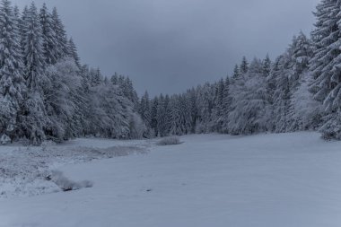 Thüringen Ormanı boyunca farklı yerlerde kış yürüyüşü - Almanya
