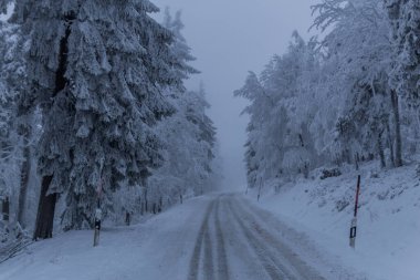 Thüringen Ormanı boyunca farklı yerlerde kış yürüyüşü - Almanya