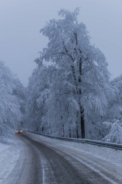 Thüringen Ormanı boyunca farklı yerlerde kış yürüyüşü - Almanya