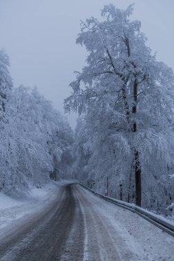 Thüringen Ormanı boyunca farklı yerlerde kış yürüyüşü - Almanya