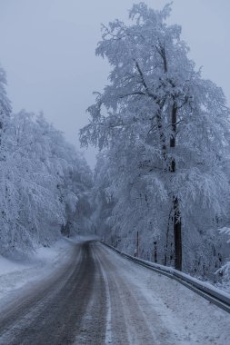Thüringen Ormanı boyunca farklı yerlerde kış yürüyüşü - Almanya