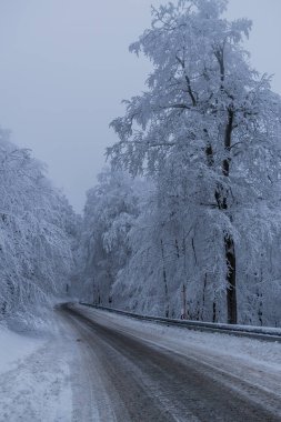 Thüringen Ormanı boyunca farklı yerlerde kış yürüyüşü - Almanya