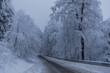 Thüringen Ormanı boyunca farklı yerlerde kış yürüyüşü - Almanya