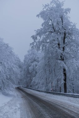 Thüringen Ormanı boyunca farklı yerlerde kış yürüyüşü - Almanya