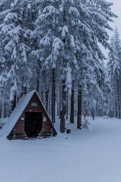 튀링겐 삼림을 가로질러 곳에서 겨울을 — 스톡 사진