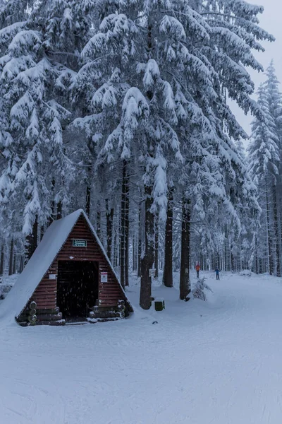 Invierno Senderismo Diferentes Lugares Través Del Bosque Turingia Alemania —  Fotos de Stock