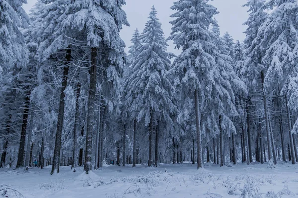 Téli Túrázás Különböző Helyeken Türingiai Erdőn Keresztül Németország — Stock Fotó