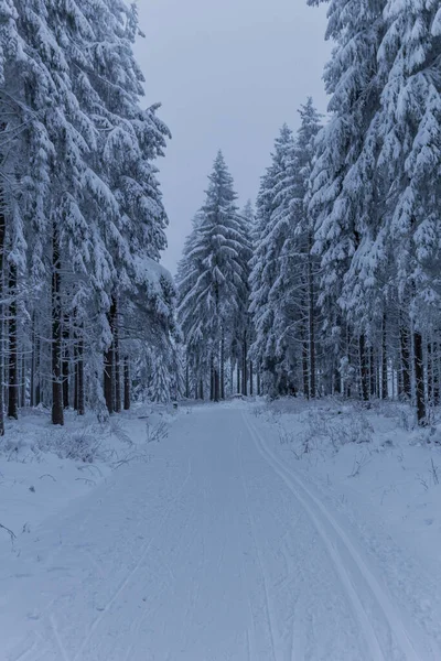 Winterwandern Verschiedenen Orten Durch Den Thüringer Wald Deutschland — Stockfoto