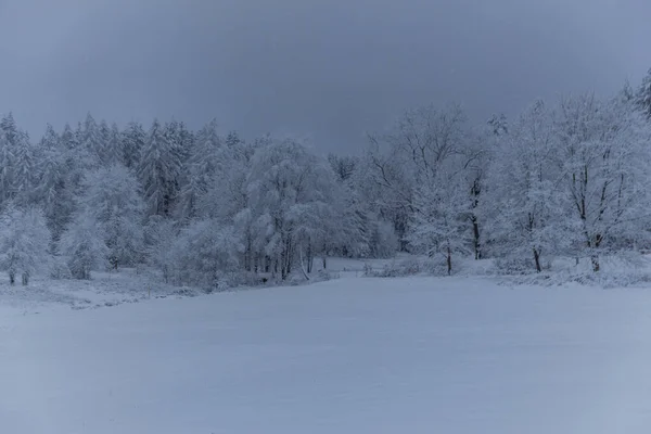 Caminhadas Inverno Diferentes Lugares Através Floresta Turíngia Alemanha — Fotografia de Stock