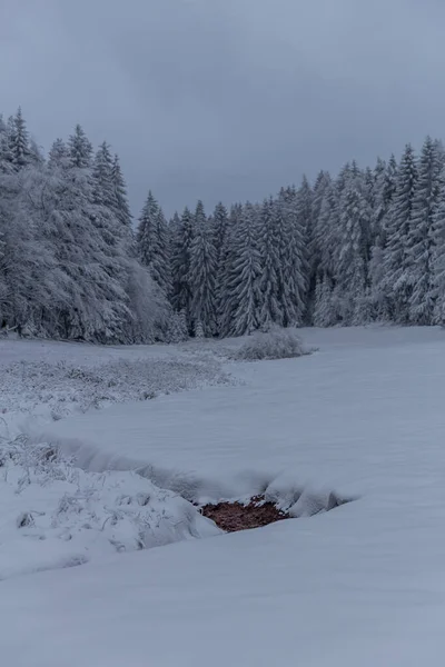 Caminhadas Inverno Diferentes Lugares Através Floresta Turíngia Alemanha — Fotografia de Stock