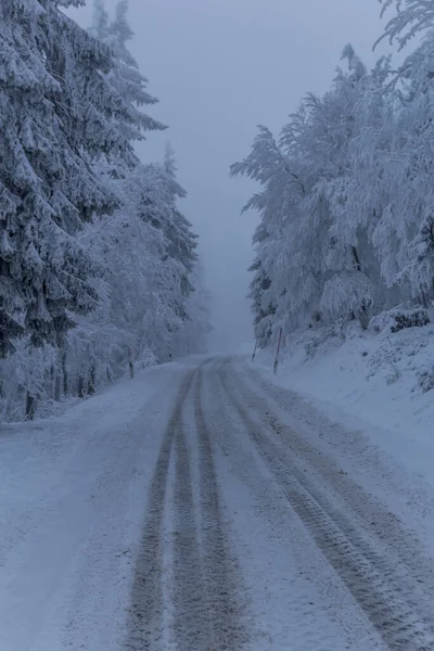 Caminhadas Inverno Diferentes Lugares Através Floresta Turíngia Alemanha — Fotografia de Stock