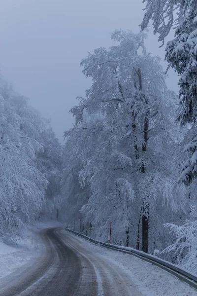 Caminhadas Inverno Diferentes Lugares Através Floresta Turíngia Alemanha — Fotografia de Stock