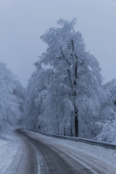 Winter Hiking Different Places Thuringian Forest Germany — Stock Photo, Image