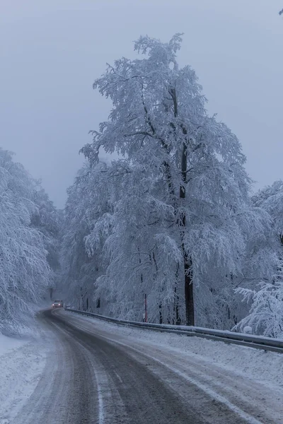 Caminhadas Inverno Diferentes Lugares Através Floresta Turíngia Alemanha — Fotografia de Stock