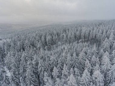 Thüringen Ormanı boyunca farklı yerlerde kış yürüyüşü - Almanya