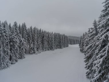 Thüringen Ormanı boyunca farklı yerlerde kış yürüyüşü - Almanya