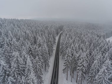 Thüringen Ormanı boyunca farklı yerlerde kış yürüyüşü - Almanya