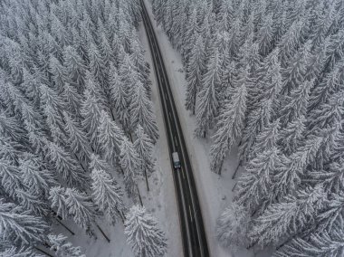 Thüringen Ormanı boyunca farklı yerlerde kış yürüyüşü - Almanya