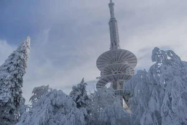 Randonnée Hivernale Dans Différents Endroits Travers Forêt Thuringe Allemagne — Photo