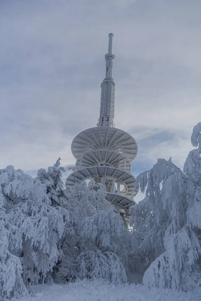 Invierno Senderismo Diferentes Lugares Través Del Bosque Turingia Alemania — Foto de Stock