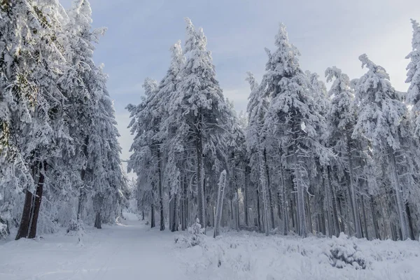 Winter Hiking Different Places Thuringian Forest Germany — Stock Photo, Image