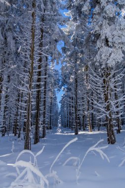 Schwarzen Mağribi yakınlarındaki Rhn 'de Kış Keşif Turu