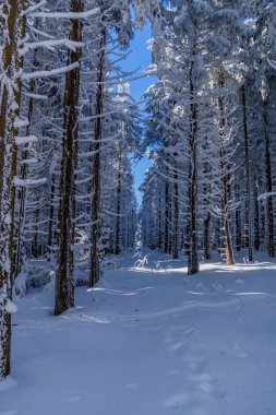 Schwarzen Mağribi yakınlarındaki Rhn 'de Kış Keşif Turu
