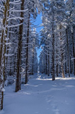 Schwarzen Mağribi yakınlarındaki Rhn 'de Kış Keşif Turu