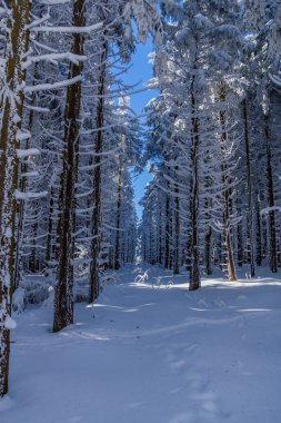Schwarzen Mağribi yakınlarındaki Rhn 'de Kış Keşif Turu