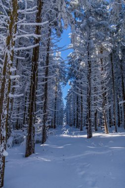 Schwarzen Mağribi yakınlarındaki Rhn 'de Kış Keşif Turu