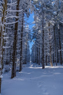 Schwarzen Mağribi yakınlarındaki Rhn 'de Kış Keşif Turu