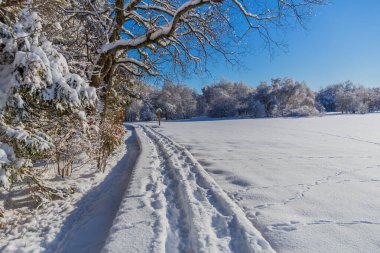 Schwarzen Mağribi yakınlarındaki Rhn 'de Kış Keşif Turu